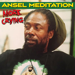 Ansel Meditation - More Crying [Digital Single]