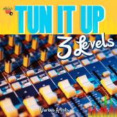 TUN IT UP 3 LEVELS - Various Artists - [Digital Album]